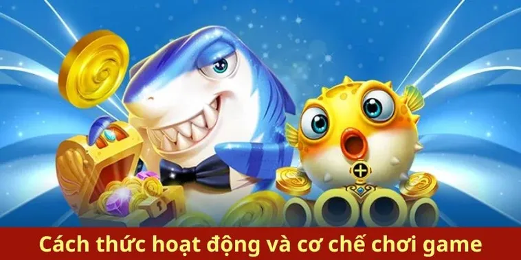 Bí Kíp Chơi Bắn Cá Royal Fishing U888 Săn Thưởng Bạc Tỷ 1 Bí Kíp Chơi Bắn Cá Royal Fishing U888 Săn Thưởng Bạc Tỷ
